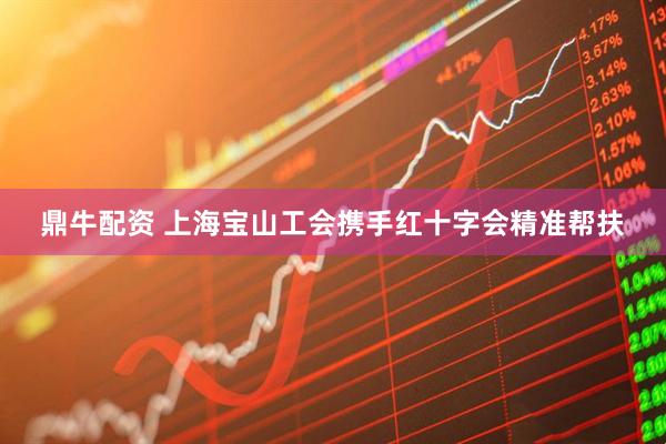 鼎牛配资 上海宝山工会携手红十字会精准帮扶